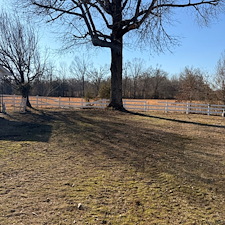 Rapid-Recovery-Storm-Debris-Cleanup-In-Oxford-MS 11